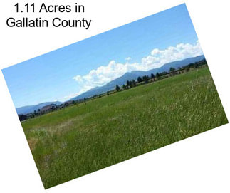 1.11 Acres in Gallatin County