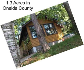 1.3 Acres in Oneida County