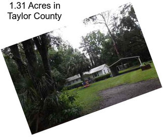 1.31 Acres in Taylor County