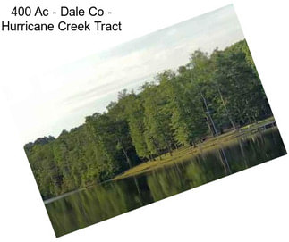 400 Ac - Dale Co - Hurricane Creek Tract