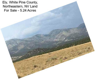 Ely, White Pine County, Northeastern, NV Land For Sale - 5.24 Acres