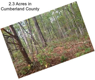 2.3 Acres in Cumberland County