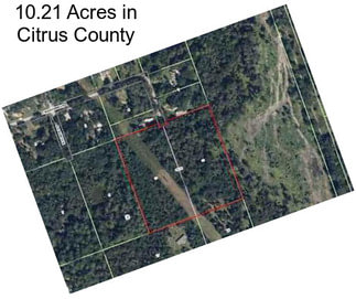 10.21 Acres in Citrus County