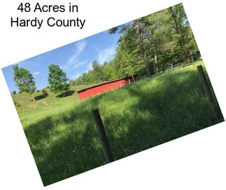 48 Acres in Hardy County
