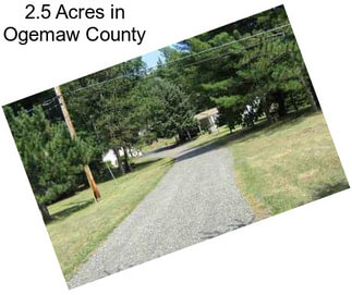 2.5 Acres in Ogemaw County