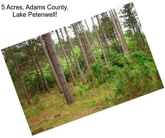 5 Acres, Adams County, Lake Petenwell!