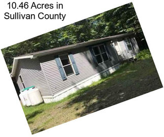 10.46 Acres in Sullivan County