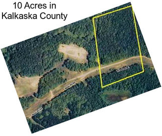 10 Acres in Kalkaska County