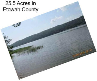 25.5 Acres in Etowah County