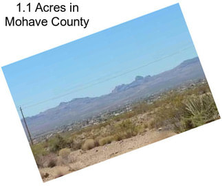 1.1 Acres in Mohave County