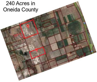 240 Acres in Oneida County