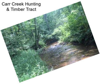 Carr Creek Hunting & Timber Tract