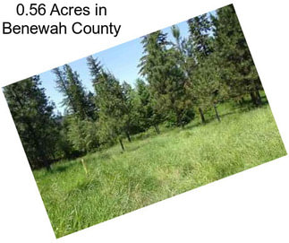 0.56 Acres in Benewah County
