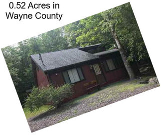 0.52 Acres in Wayne County