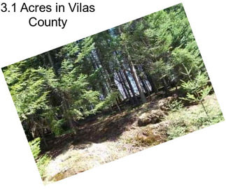 3.1 Acres in Vilas County