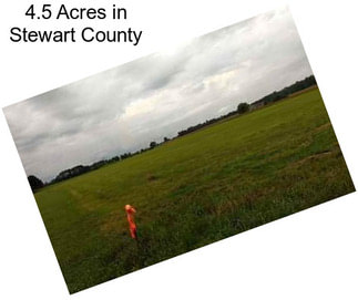 4.5 Acres in Stewart County