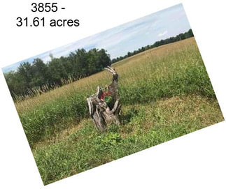 3855 - 31.61 acres