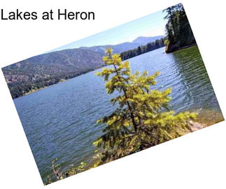 Lakes at Heron