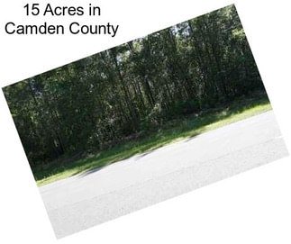 15 Acres in Camden County