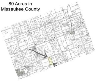 80 Acres in Missaukee County