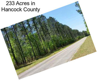 233 Acres in Hancock County