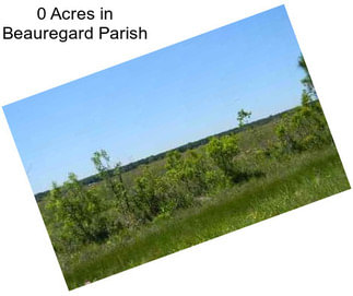 0 Acres in Beauregard Parish