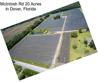 McIntosh Rd 20 Acres in Dover, Florida