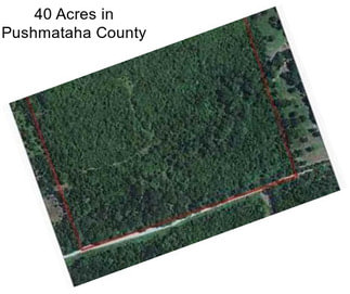 40 Acres in Pushmataha County