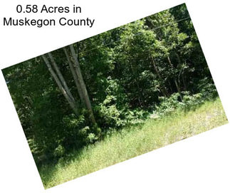 0.58 Acres in Muskegon County