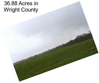 36.88 Acres in Wright County