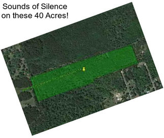 Sounds of Silence on these 40 Acres!