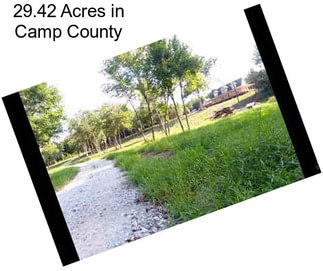 29.42 Acres in Camp County