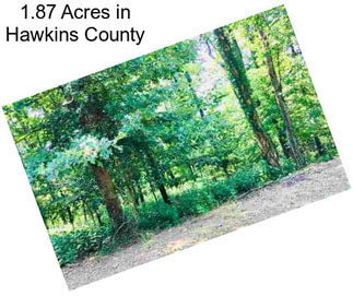1.87 Acres in Hawkins County