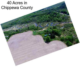 40 Acres in Chippewa County