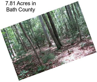 7.81 Acres in Bath County