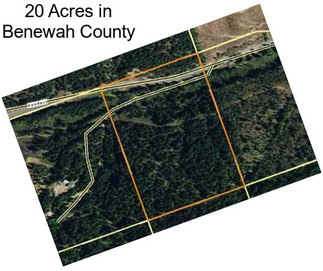 20 Acres in Benewah County