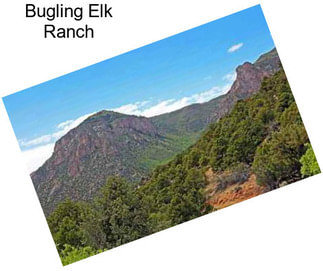 Bugling Elk Ranch
