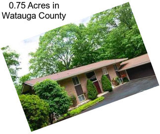 0.75 Acres in Watauga County
