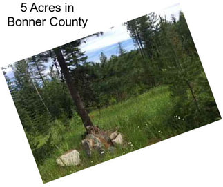 5 Acres in Bonner County