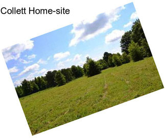 Collett Home-site