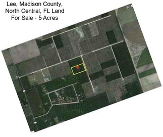 Lee, Madison County, North Central, FL Land For Sale - 5 Acres