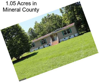1.05 Acres in Mineral County
