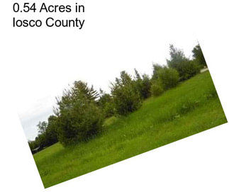 0.54 Acres in Iosco County