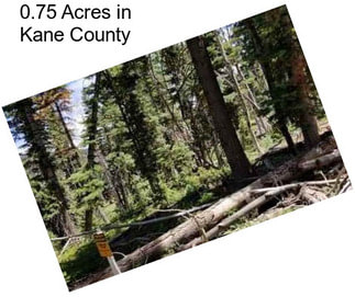 0.75 Acres in Kane County