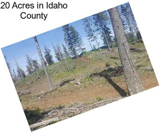 20 Acres in Idaho County