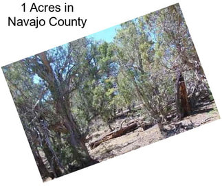 1 Acres in Navajo County