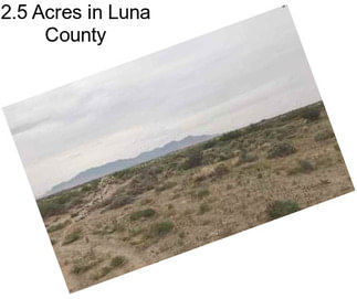 2.5 Acres in Luna County