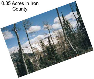 0.35 Acres in Iron County