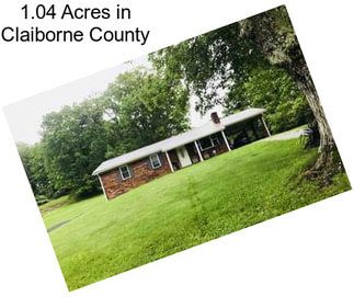 1.04 Acres in Claiborne County