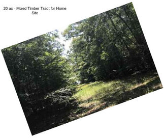 20 ac - Mixed Timber Tract for Home Site